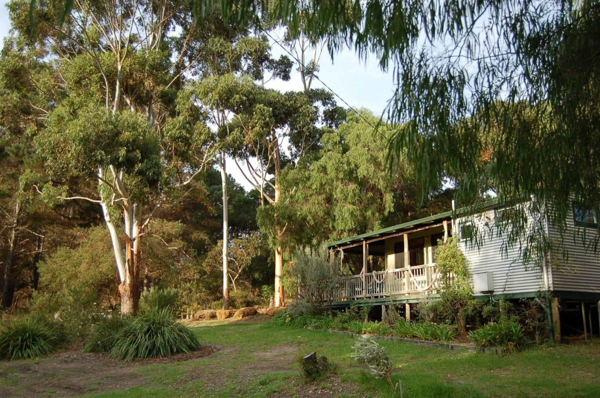 Cape Howe Cottages Lowlands Экстерьер фото